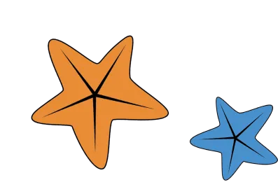 Orogener und Blauer Seestern
als Deko Element